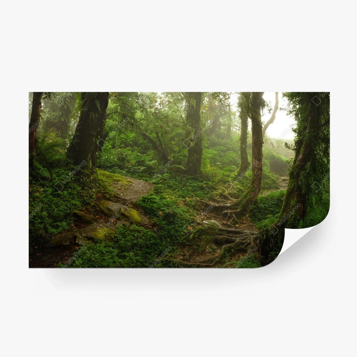 Fotomural sendero místico en bosque esmeralda – Pixers®