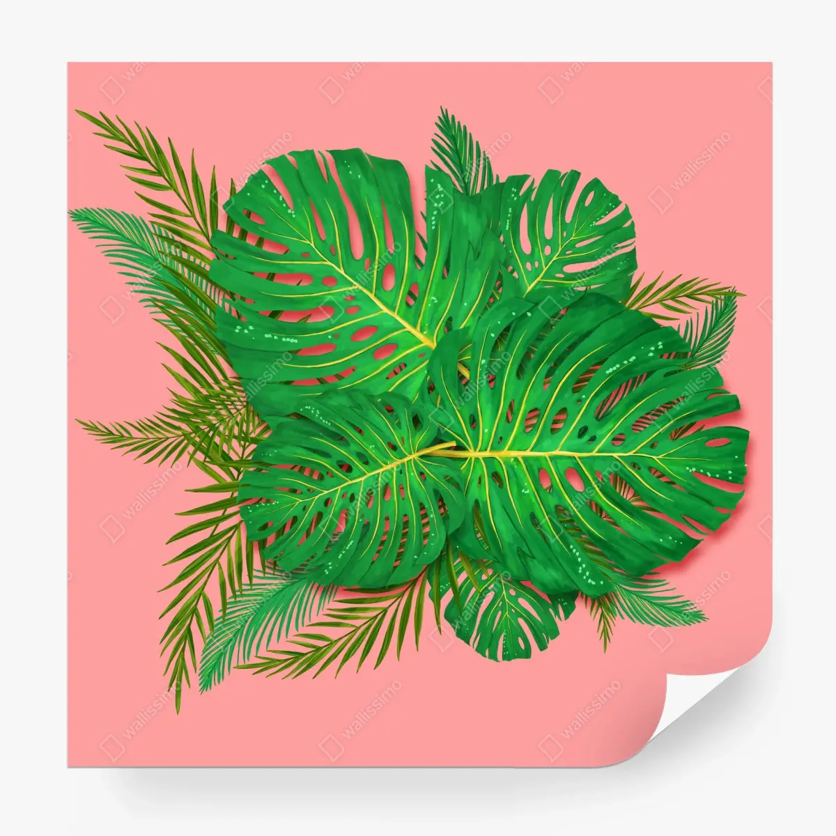 Fotomural composición de hojas tropicales sobre fondo rosa – Pixers®