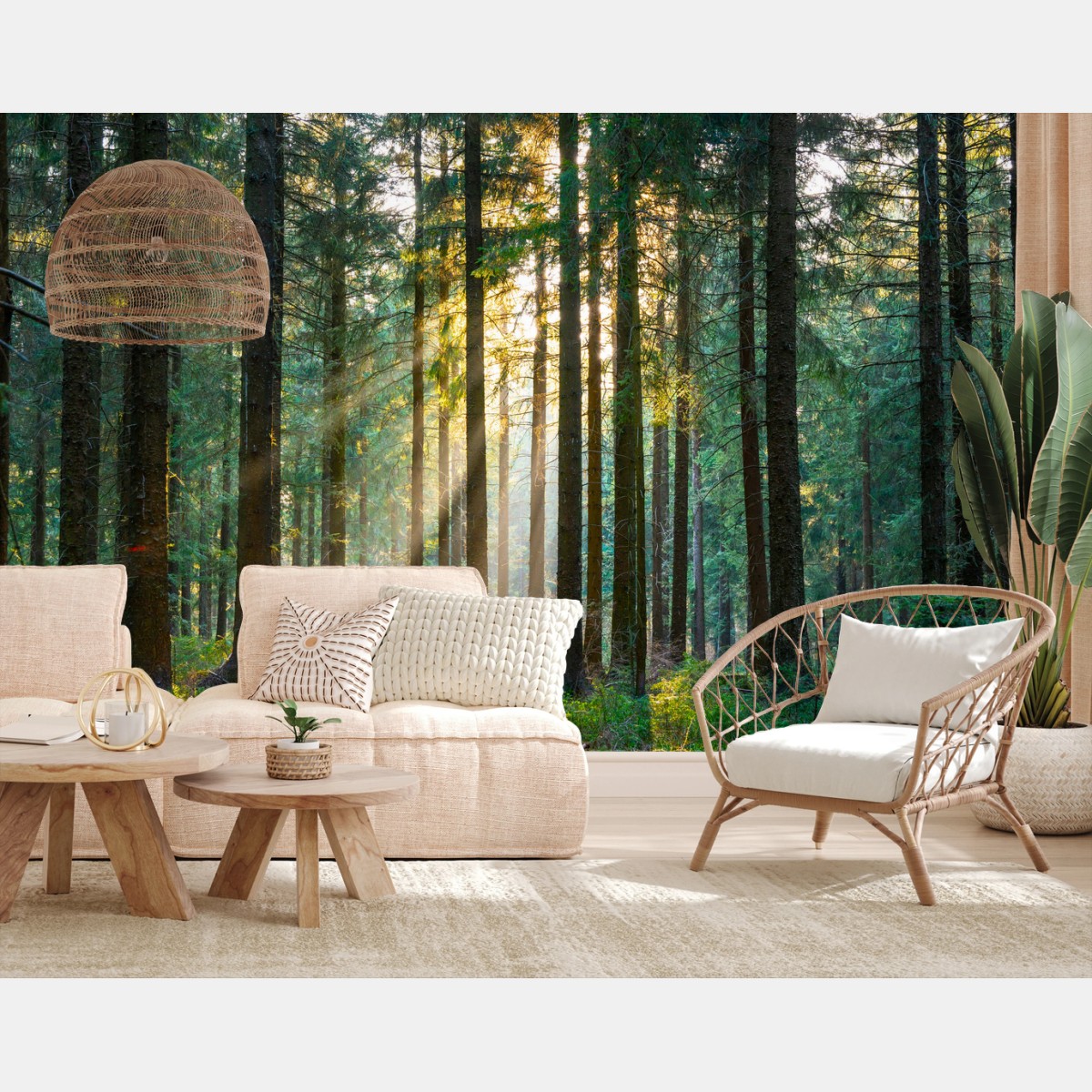 Fotomural rayo de sol en bosque primaveral – Pixers®