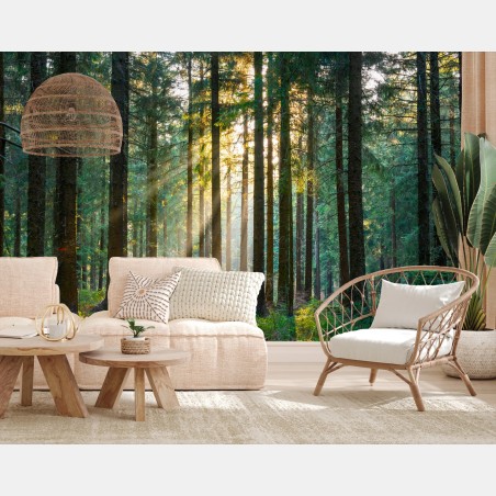 Fotomural rayo de sol en bosque primaveral – Pixers®