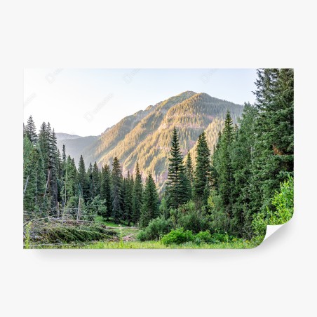 Fotomural amanecer dorado sobre el bosque montañoso – Pixers®