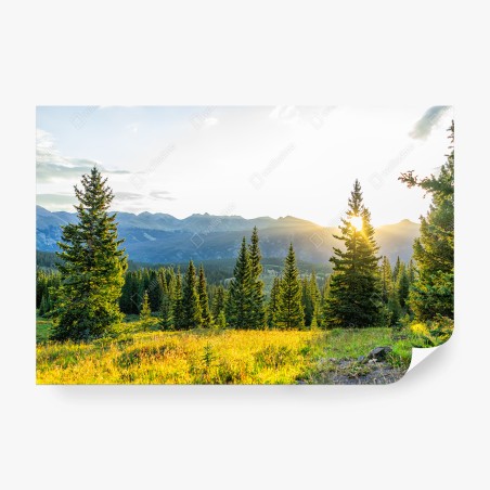Fotomural amanecer dorado en el bosque de montaña – Pixers®