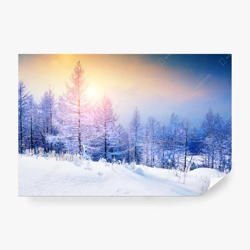 Fotomural atardecer dorado en bosque nevado
