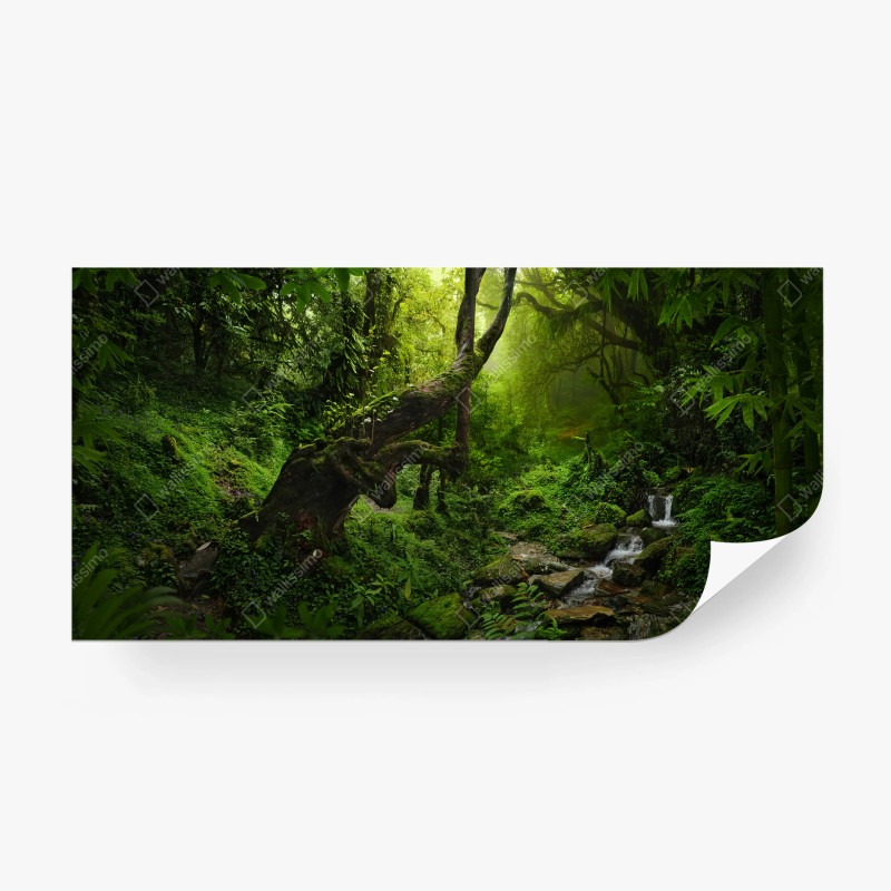 Fotomural paisaje de bosque encantado en tonos verdes – Pixers® Fotomural paisaje de bosque encantado en tonos verdes – Pixers®
