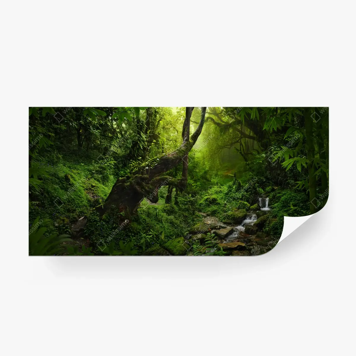 Fotomural paisaje de bosque encantado en tonos verdes – Pixers®