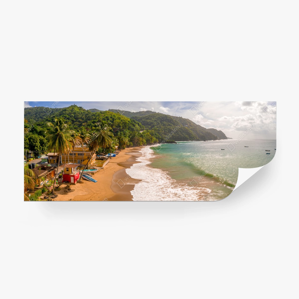 Fotomural playa tropical en Barbados – Pixers®
