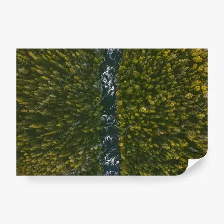 Fotomural río entre bosques visto desde un dron – Pixers®