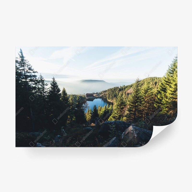 Fotomural serenidad del lago entre pinos – Pixers® Fotomural serenidad del lago entre pinos – Pixers®