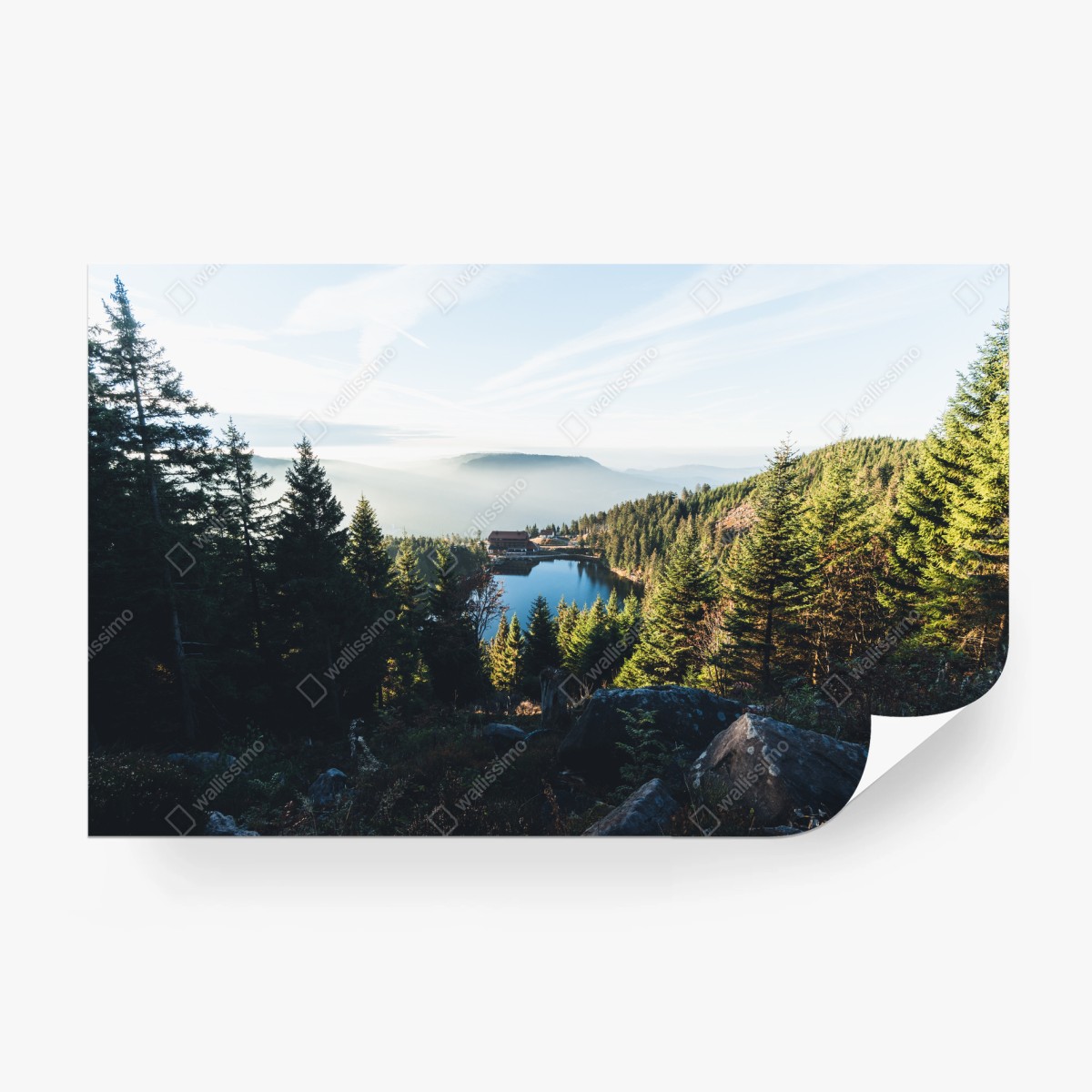 Fotomural serenidad del lago entre pinos – Pixers® Fotomural serenidad del lago entre pinos – Pixers®