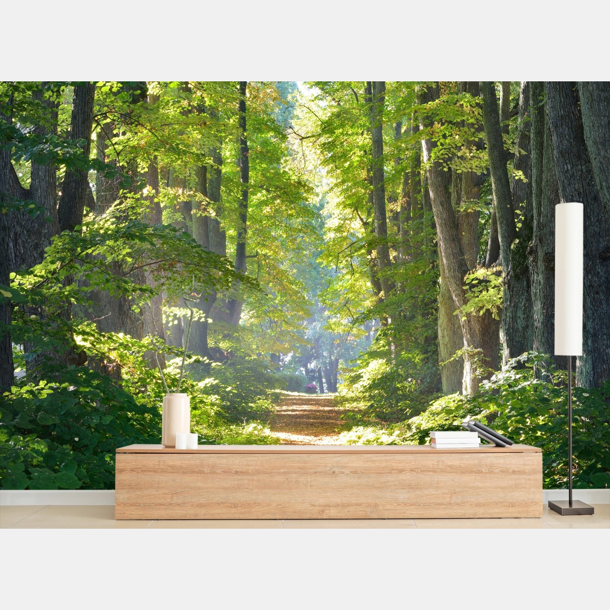 Fotomural sendero iluminado en bosque otoñal – Pixers®