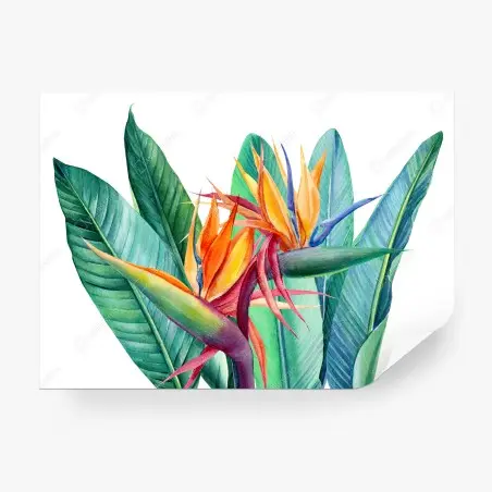 Fotomural composición tropical con ave del paraíso y hojas verdes – Pixers®