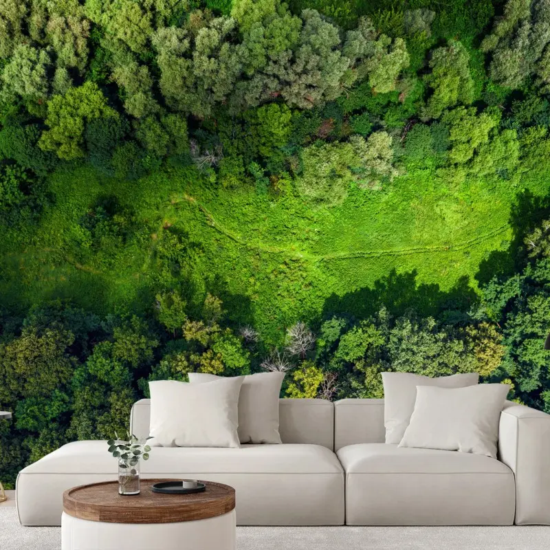Fotomural pradera escondida: vista aérea de bosque en verano