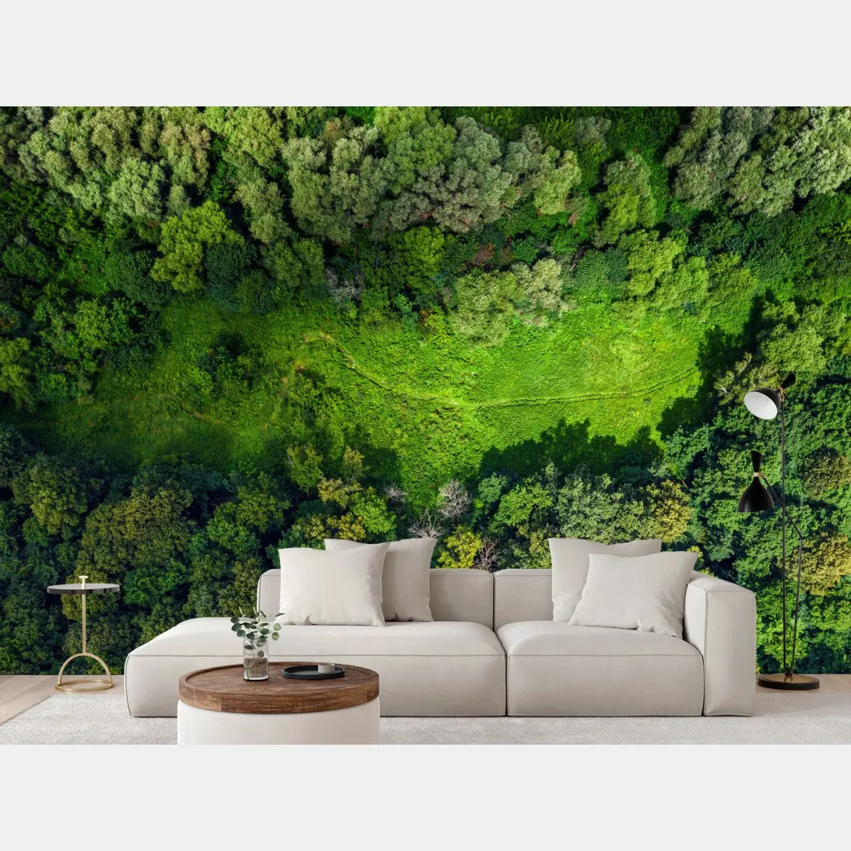 Fotomural pradera escondida: vista aérea de bosque en verano – Pixers®