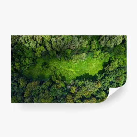 Fotomural pradera escondida: vista aérea de bosque en verano – Pixers®