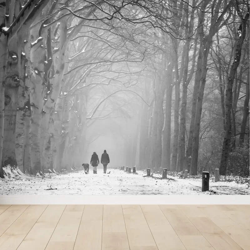 Fotomural paseo invernal entre abedules