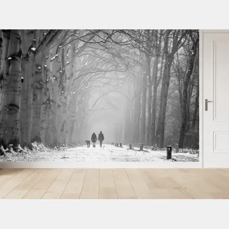 Fotomural paseo invernal entre abedules – Pixers®