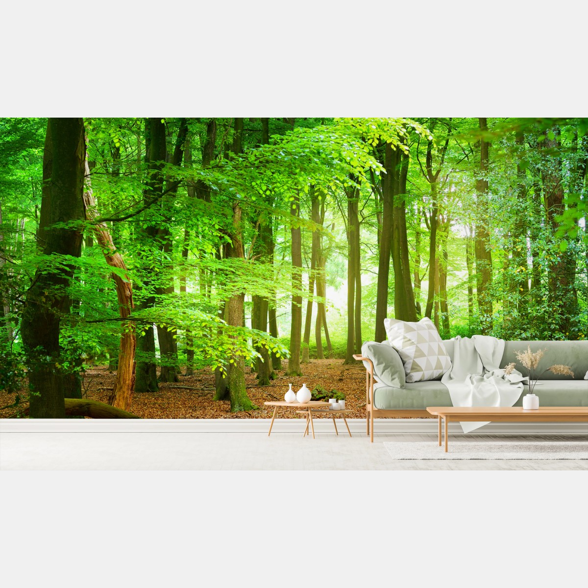 Fotomural bosque verde bañado de luz – Pixers®
