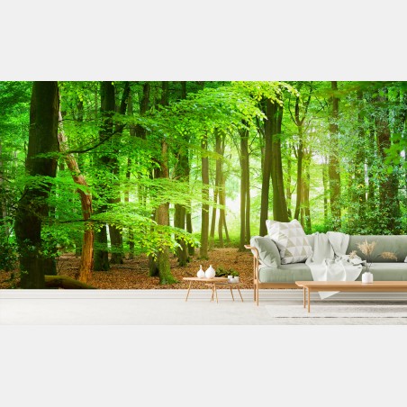 Fotomural bosque verde bañado de luz – Pixers®