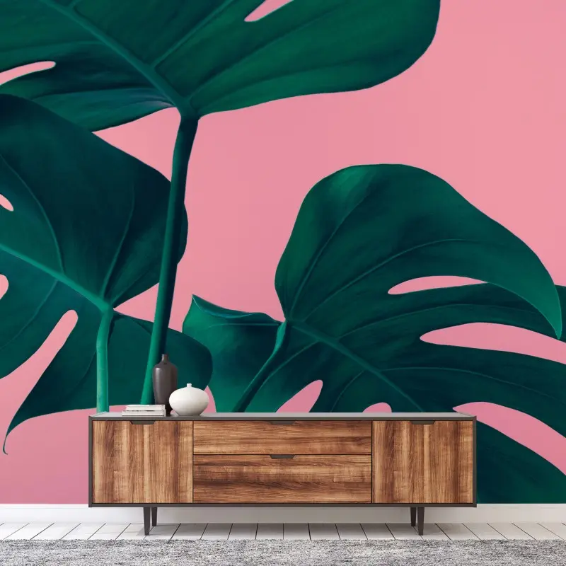 Fotomural hojas de monstera sobre fondo rosa