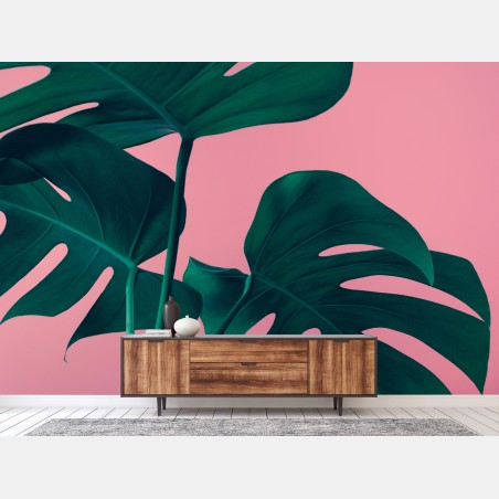Fotomural hojas de monstera sobre fondo rosa – Pixers®