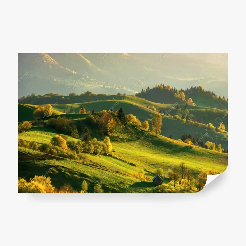 Fotomural colinas verdes al atardecer – Pixers® Fotomural colinas verdes al atardecer – Pixers®