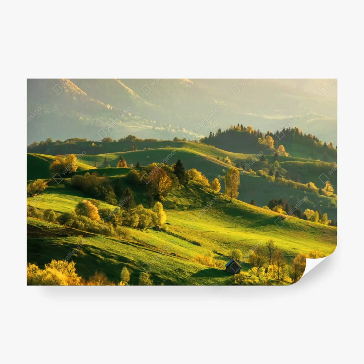 Fotomural colinas verdes al atardecer – Pixers® Fotomural colinas verdes al atardecer – Pixers®