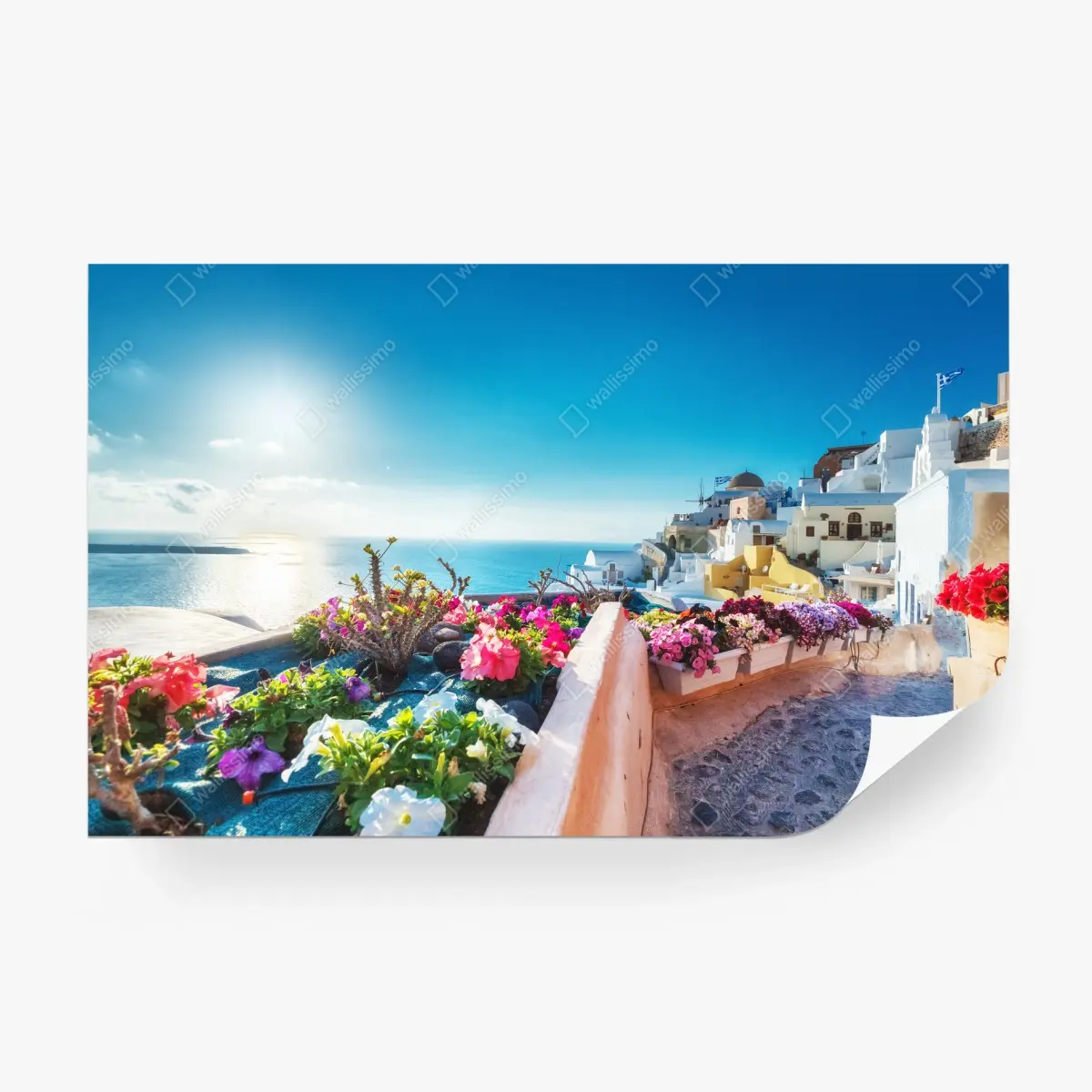 Fotomural vista mediterránea con flores y casas blancas – Pixers®