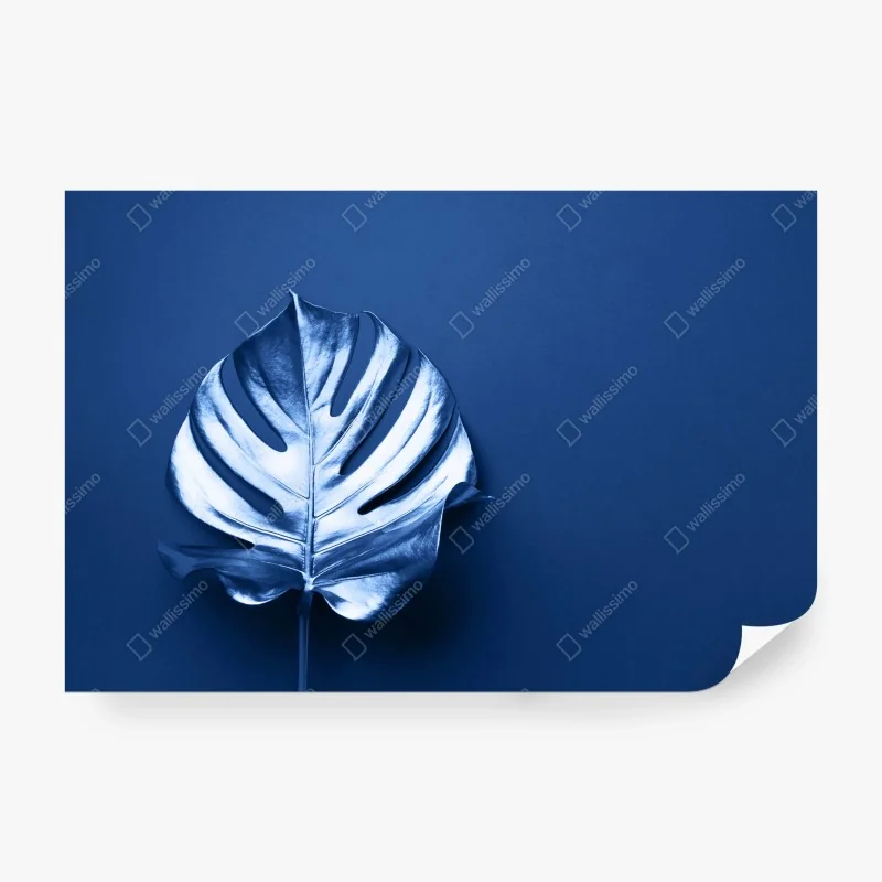 Fotomural hoja de monstera metálica sobre fondo azul – Pixers® Fotomural hoja de monstera metálica sobre fondo azul – Pixers®