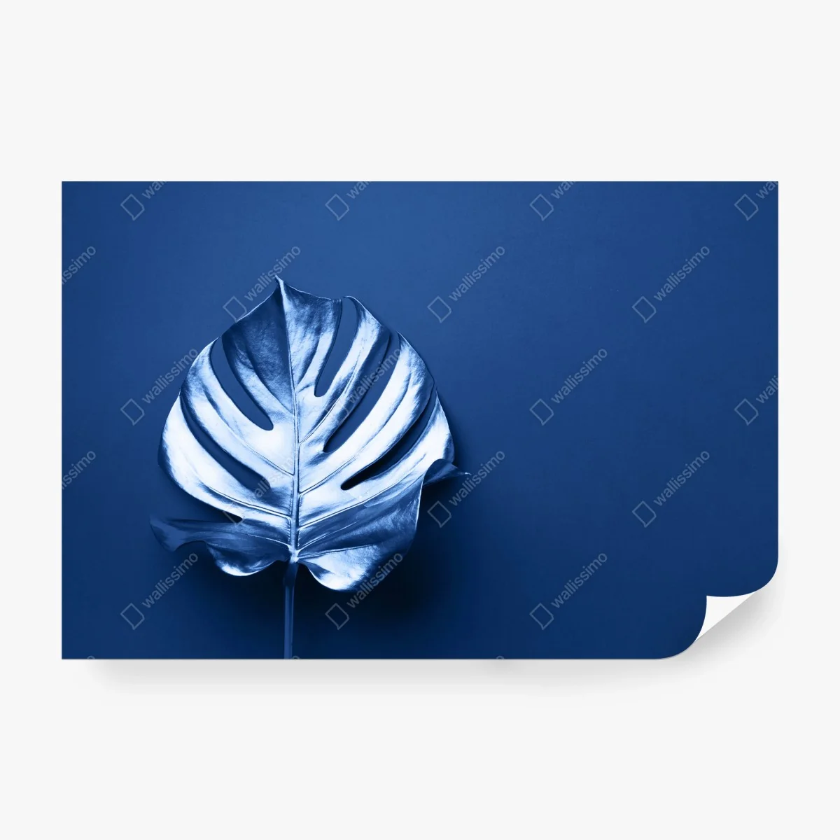 Fotomural hoja de monstera metálica sobre fondo azul – Pixers® Fotomural hoja de monstera metálica sobre fondo azul – Pixers®