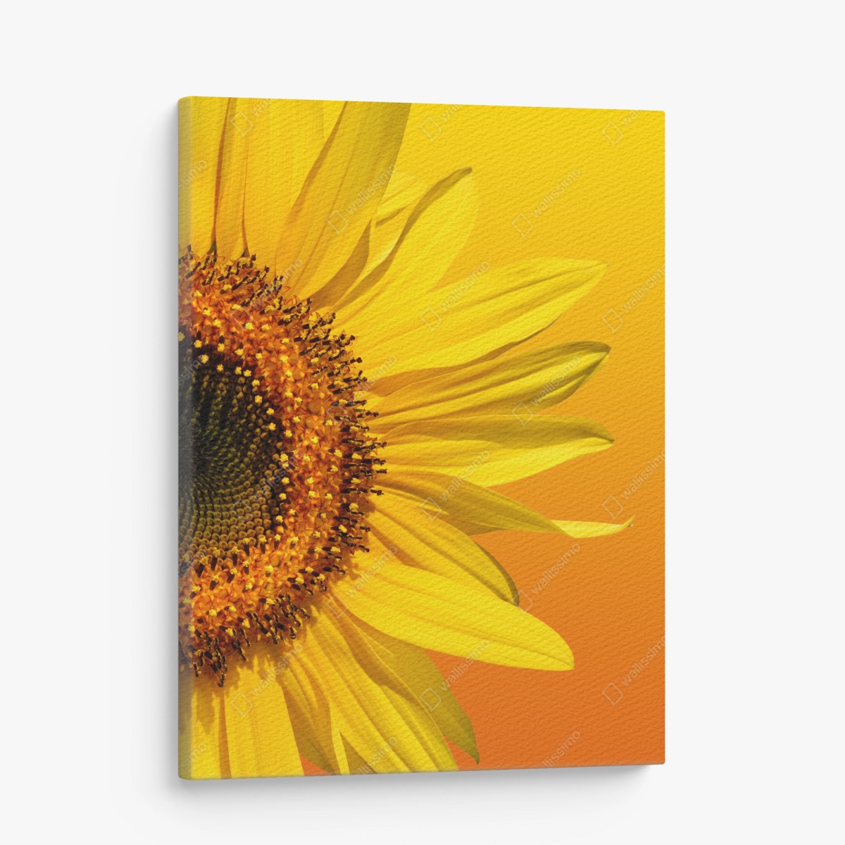 Cuadro en lienzo girasol en fondo degradado amarillo y naranja – Pixers®