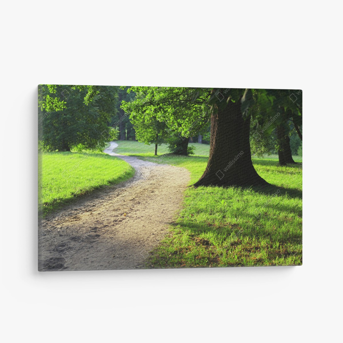 Cuadro en lienzo sendero tranquilo en el parque al atardecer – Pixers®
