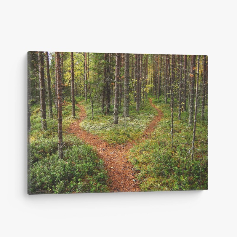 Cuadro en lienzo sendero bifurcado en el bosque otoñal – Pixers® Cuadro en lienzo sendero bifurcado en el bosque otoñal – Pixers®