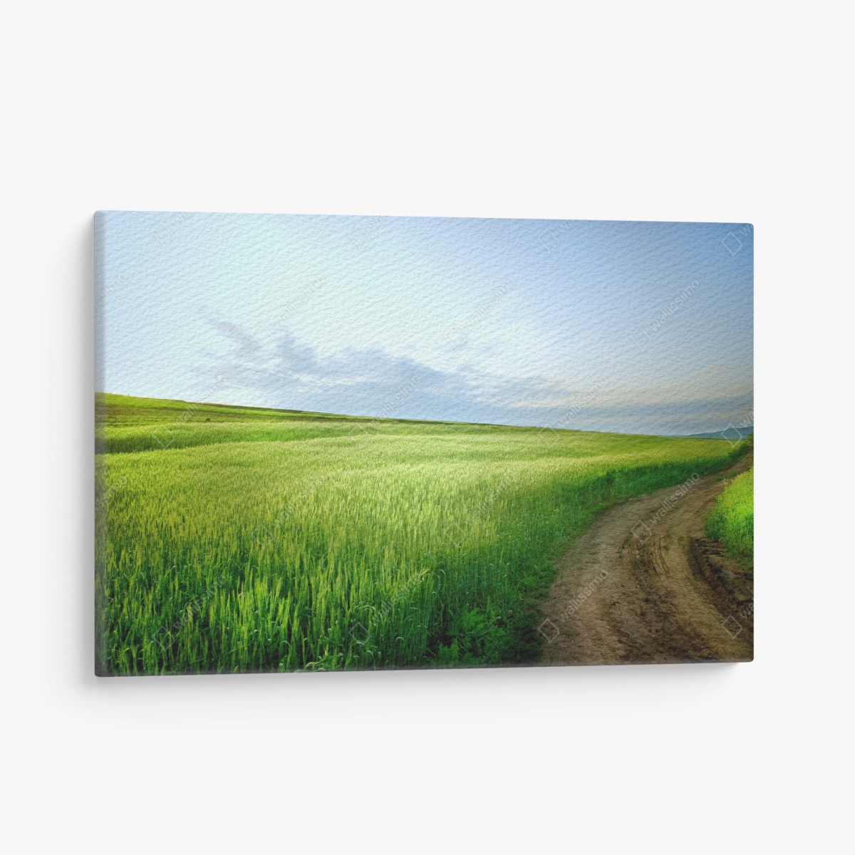 Cuadro en lienzo camino entre campos verdes y cielo despejado – Pixers®