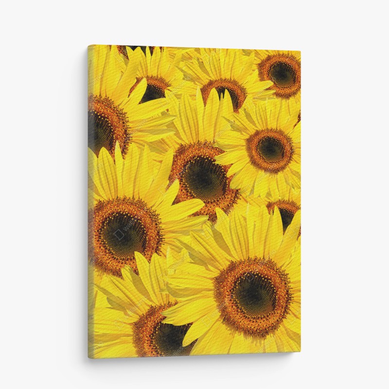 Cuadro en lienzo explosión de girasoles en verano – Pixers® Cuadro en lienzo explosión de girasoles en verano – Pixers®