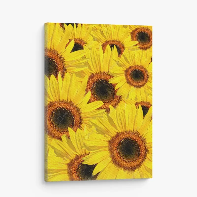 Cuadro en lienzo explosión de girasoles en verano