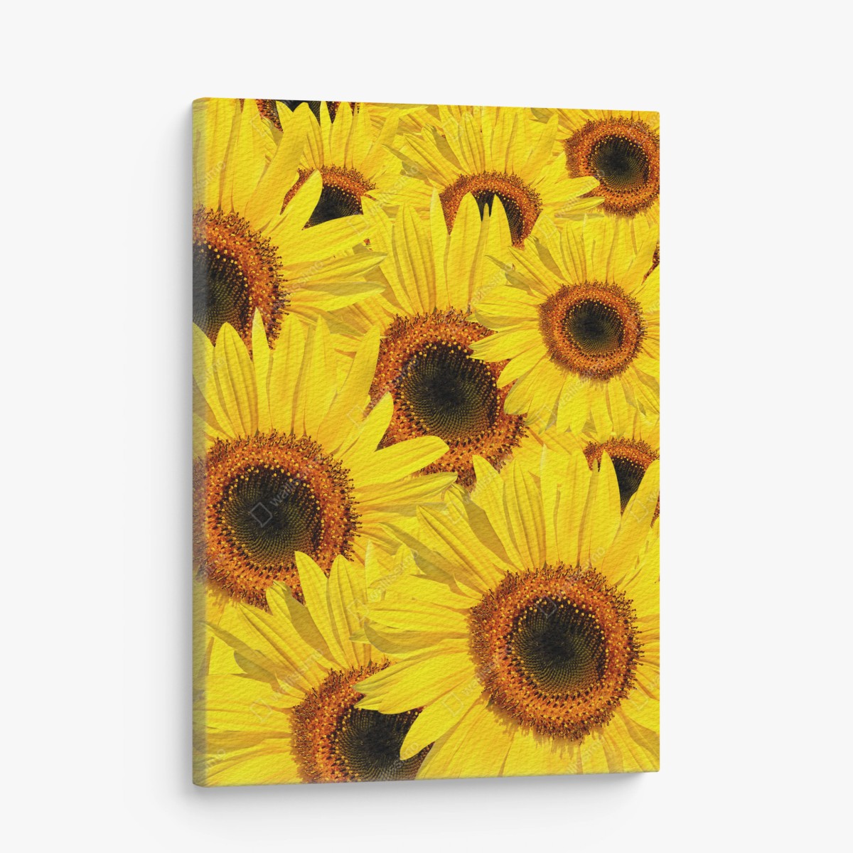 Cuadro en lienzo explosión de girasoles en verano – Pixers® Cuadro en lienzo explosión de girasoles en verano – Pixers®