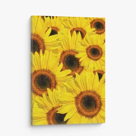 Cuadro en lienzo explosión de girasoles en verano