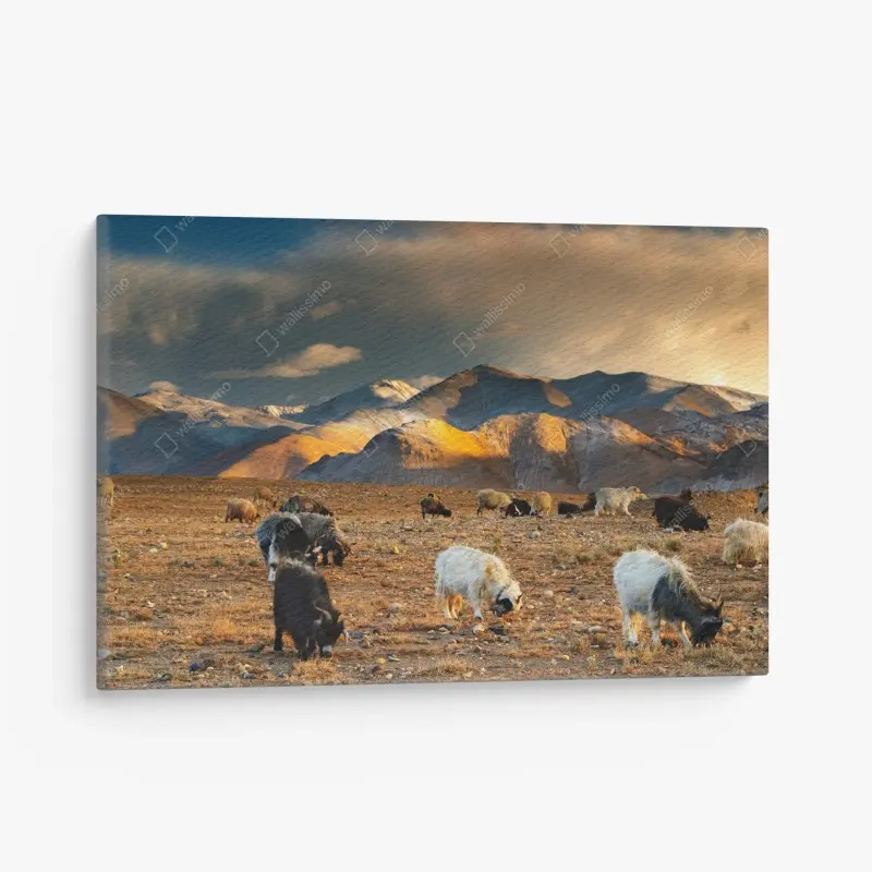 Cuadro en lienzo amanecer en el altiplano del Tíbet