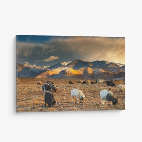 Cuadro en lienzo amanecer en el altiplano del Tíbet – Pixers®