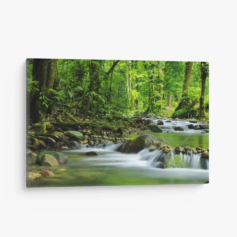 Cuadro en lienzo refugio verde: río en bosque tropical