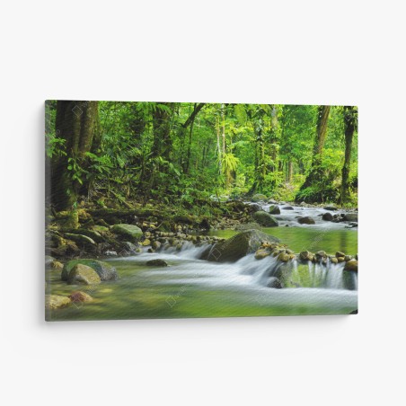 Cuadro en lienzo refugio verde: río en bosque tropical – Pixers®