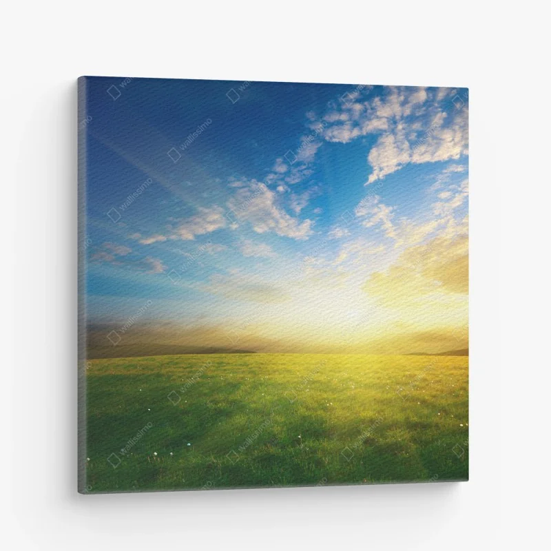 Cuadro en lienzo puesta de sol dorada en pradera primaveral – Pixers® Cuadro en lienzo puesta de sol dorada en pradera primaveral – Pixers®