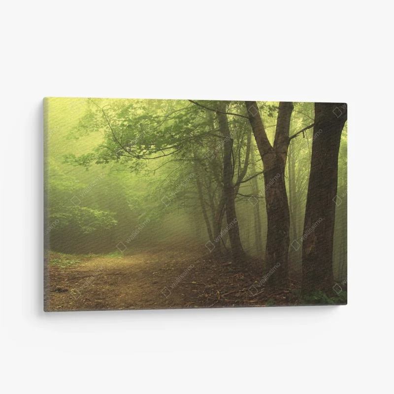 Cuadro en lienzo sendero en bosque brumoso – Pixers® Cuadro en lienzo sendero en bosque brumoso – Pixers®