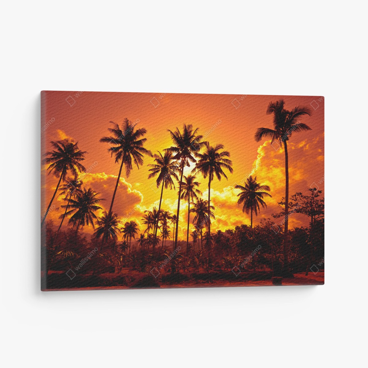 Cuadro en lienzo atardecer tropical entre palmeras – Pixers®