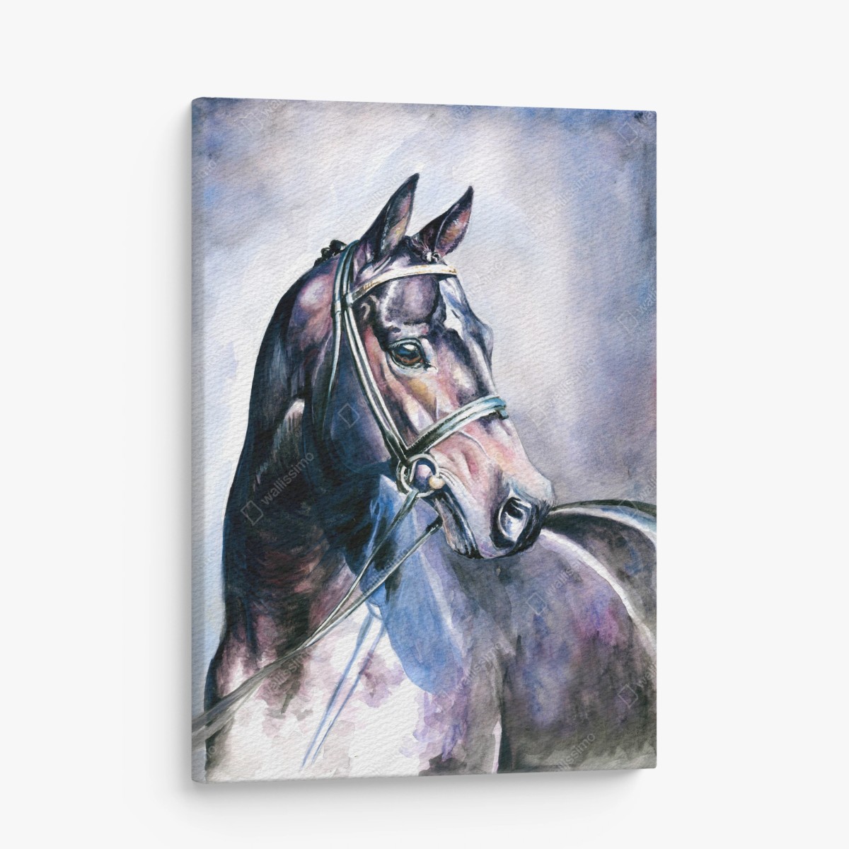 Cuadro en lienzo retrato de caballo en acuarela para decoración – Pixers®
