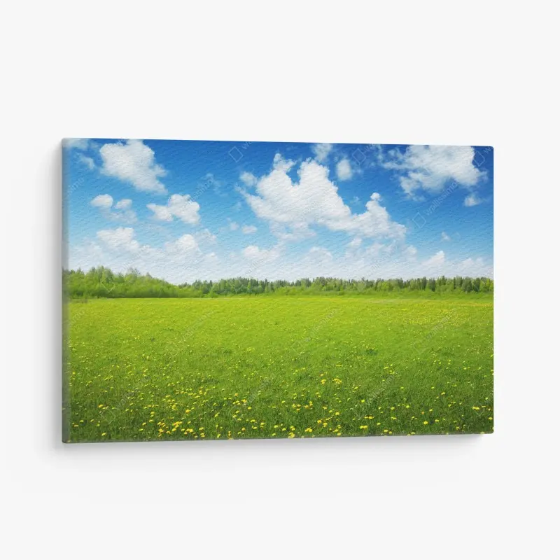 Cuadro en lienzo pradera primaveral bajo cielo azul