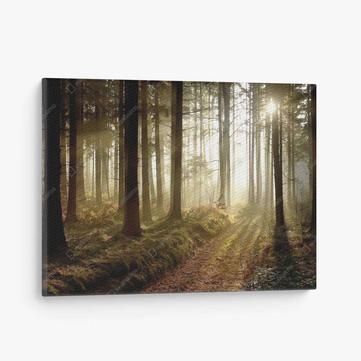 Cuadro en lienzo sendero iluminado en bosque brumoso – Pixers®