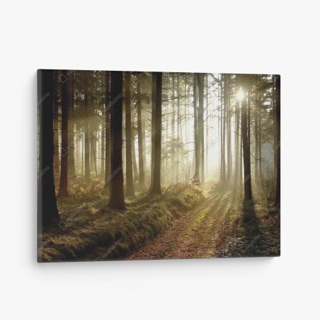 Cuadro en lienzo sendero iluminado en bosque brumoso – Pixers®