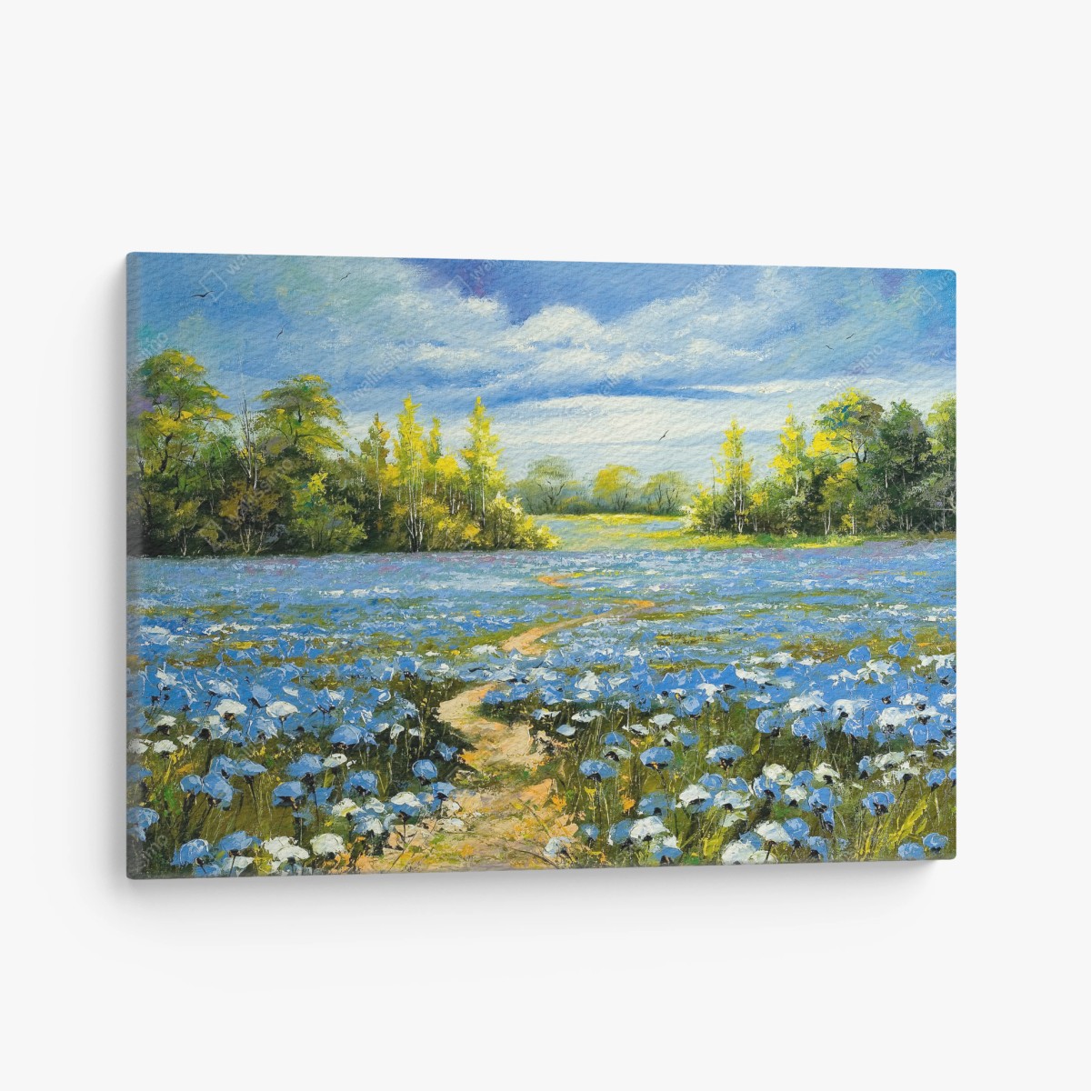 Cuadro en lienzo sendero entre acianos bajo cielo azul – Pixers®