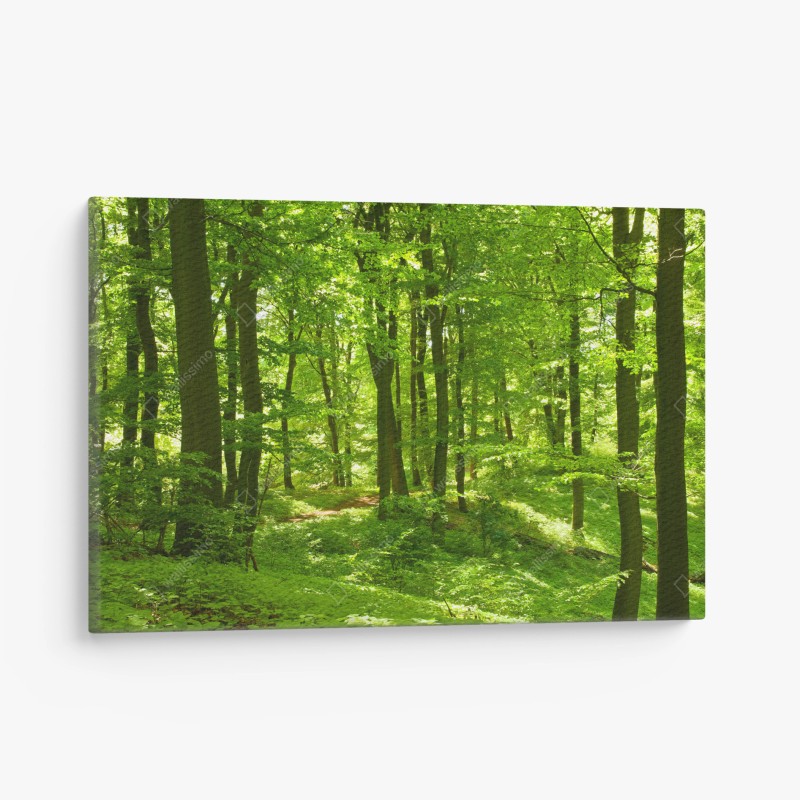 Cuadro en lienzo bosque verde luminoso y sereno – Pixers® Cuadro en lienzo bosque verde luminoso y sereno – Pixers®